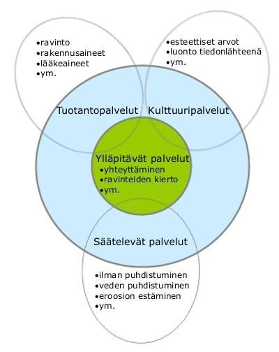Kuva 8. Ekosysteemipalvelut jaetaan neljään luokkaan: ylläpitäviin-, sääteleviin-, tuotanto- ja kulttuuripalveluihin. (Lähde ympäristöhallinnon nettisivut 18.5.2011/Kopperoinen Leena) 5 5.
