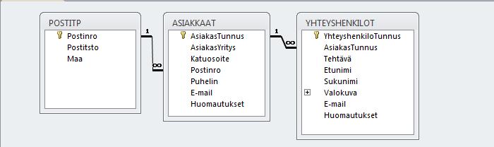 Testiaineiston syöttäminen Sinun tulee syöttää vähintään 30-50 aitoa tai aitoa mukailevaa tietuetta, jotta voit määrittää myöhemmin kunnollisia kyselyjä ja raportteja.