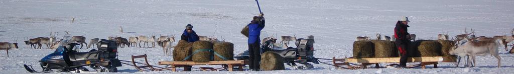 Suomen Poronhoidosta Poronhoidosta,, lähinnä