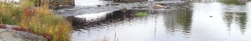 Puusilta kivisillä tuilla oli 1800-luvulla ja vielä 1900-luvun alussa yleisin silta isojen vesistöjen ylityksissä.