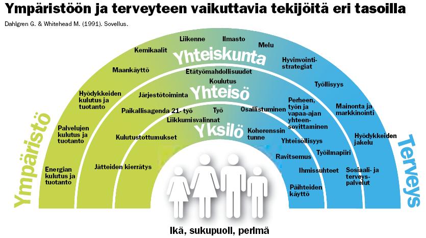 YMPÄRISTÖÖN JA TERVEYTEEN