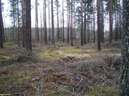 Muutamin paikoin kokoonnuttiin suppeiden maastonkohtien koekuopitukseen. Alueen itäpäässä olevan Mattilan röykkiöiden alue tutkittiin yhdessä perusteellisesti.