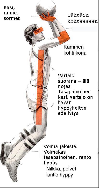 KÄDEN LIIKE KORIPALLON KÄSITTELYSSÄ JA SUORITUKSISSA. On hyvä opettaa heti alusta käsien liike niin pallonkäsittelyyn kuuluvissa kuljetuksessa kuin syötöissä sekä tietysti heitoissa.