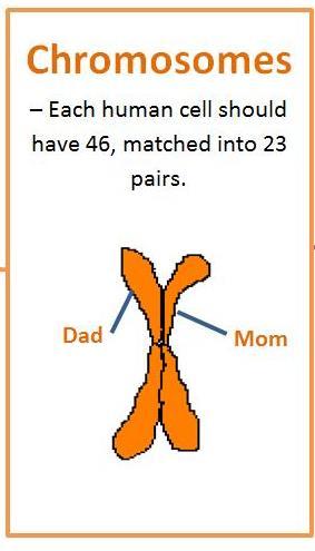 (PEPD)(familial rectal pain) Congenital