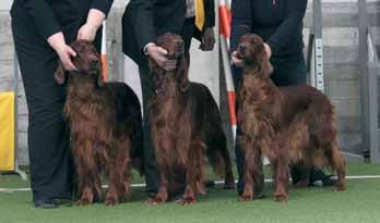 Kasvattajaluokka Kennel