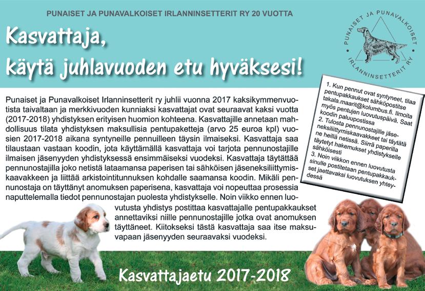 Miähet joi kahveensa ourov vähäpuheisina. Sulon äite tykkää pestäm mattonsap Painep- Pesurilla kotopihallaan.