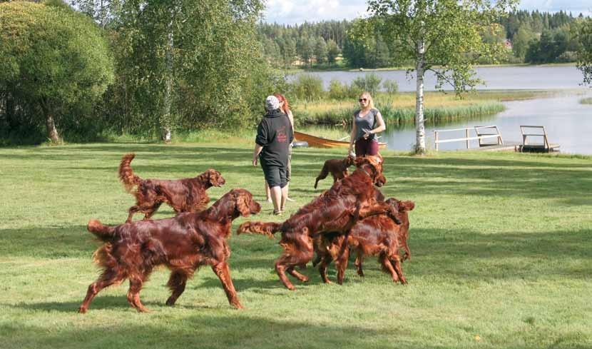 Jäsenkyselyn tuloksia Yhdistys järjesti jäsenkyselyn alkuvuodesta jäsenilleen.