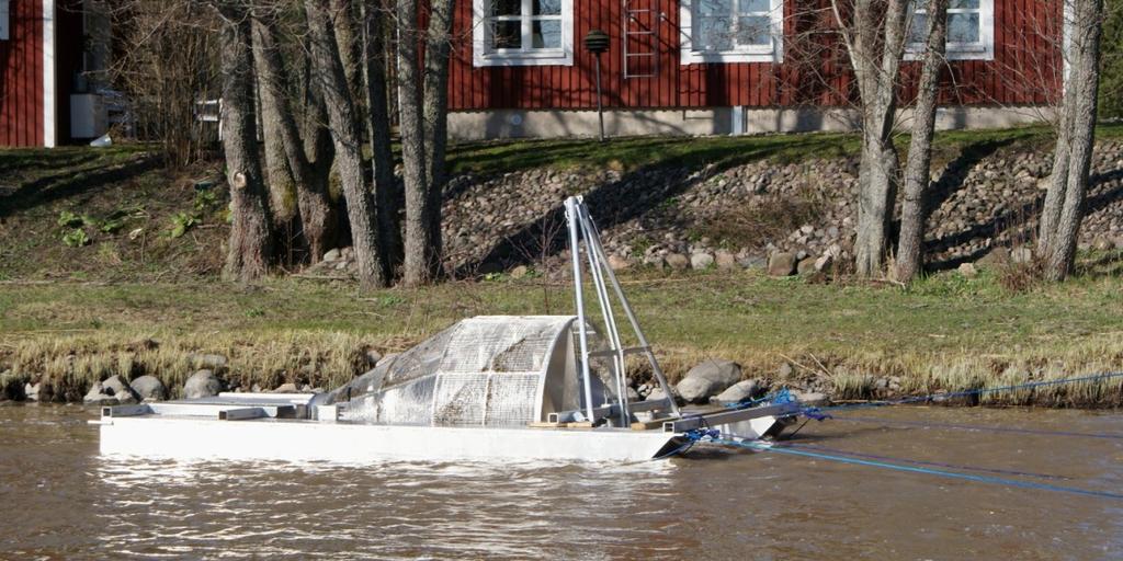 1. Johdanto Interreg -rahoitteinen Healfish-hanke tilasi Kala- ja vesitutkimus Oy:ltä keväällä 212 selvityksen Ingarskilanjoen taimenen vaelluspoikasten vaelluksesta ja vaellusmääristä.