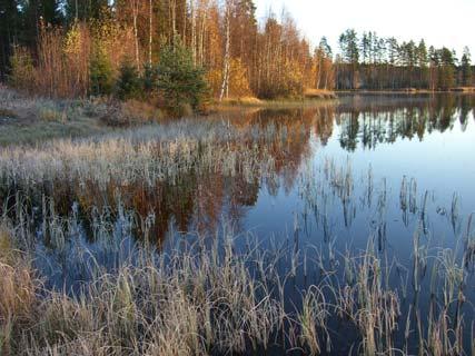 Näitä ovat lainsäädännön ja viranomaisvaatimusten mukaisesti: luonnonsuojelulain 1096/1996 4 luvun 29 mukaiset luontotyypit vesilain 1961/264 1 luvun 15a ja 17a mukaiset luonnontilaisina