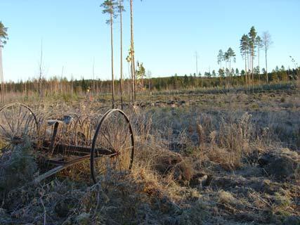 Pohjoisosassa on laaja hakkuualue ja myös länsiosassa on äskettäin tehty harvennusta ja pieniä hakkuita.