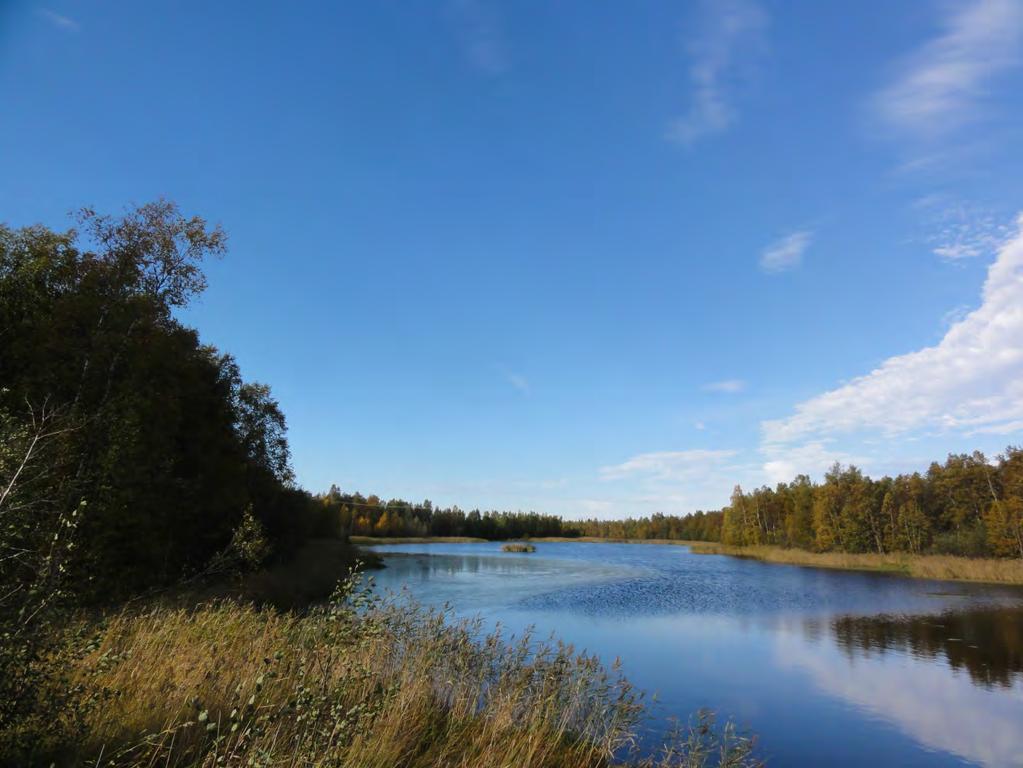 FCG Suunnittelu ja tekniikka Oy Perustilaselvitys, valokuvat 2