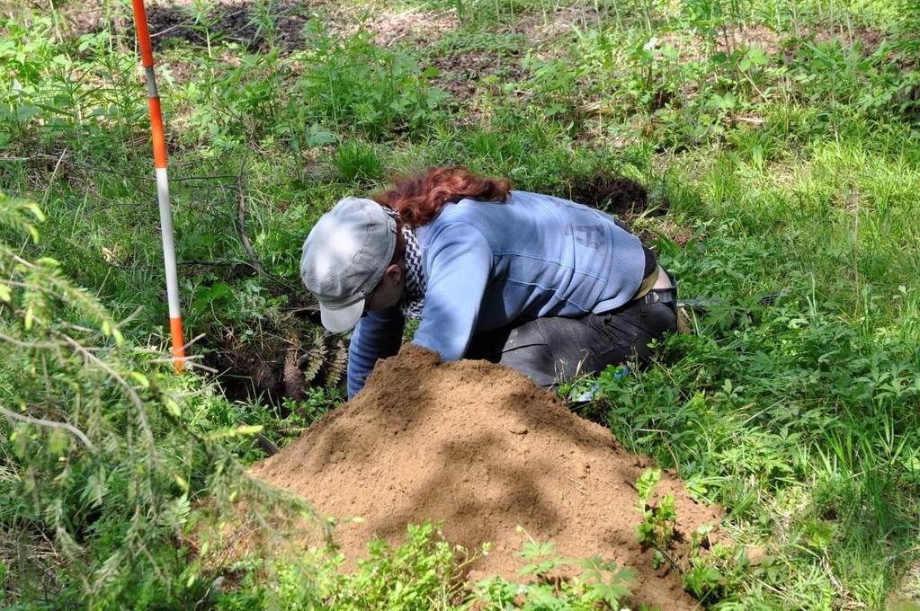 3. Tutkimusmenetelmät Vantaan kaupunginmuseon Kaivokselan tutkimusten tarkoituksena oli tarkastaa oliko Gröndalin ja Silvolan kivikautisista asuinpaikoista mitään säilynyt.