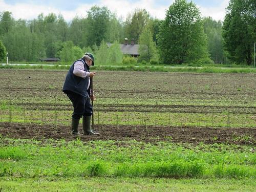 4 Ei-kemiallisten menetelmien harkitseminen Biologinen torjunta Mikrobiologiset valmisteet sienet ja bakteerit