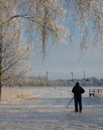 Kaupunkisuunnittelun lähtökohtana on eheä ja tiivis kävelyyn, pyöräilyyn ja joukkoliikenteeseen tukeutuva kaupunkirakenne.