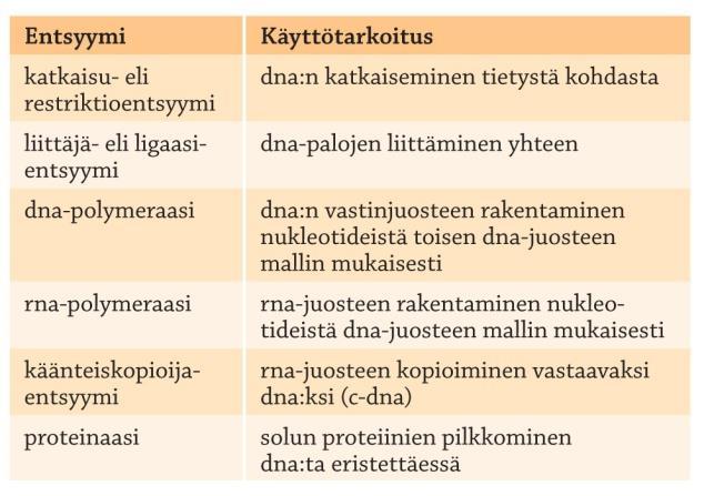 Dna:n muokkaaminen Katkaisuentsyymit Bakteerien