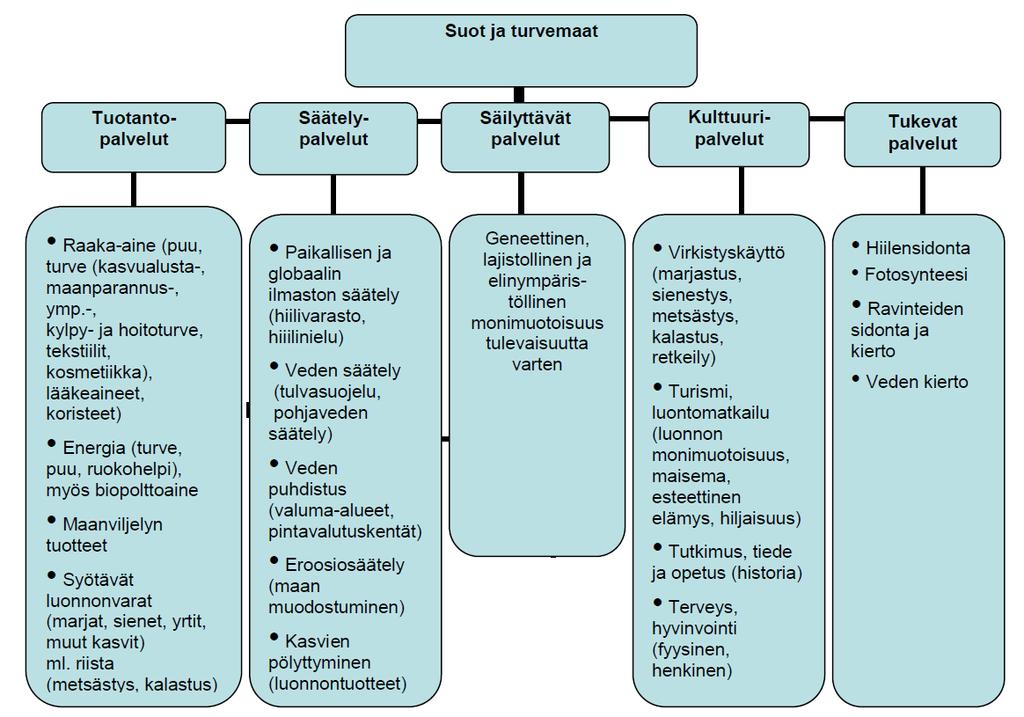 30 Soiden ja turvemaiden kansallisessa strategiassa on tarkasteltu soiden ja turvemaiden tarjoamia ekosysteemipalveluja.