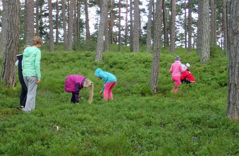 Vetorengasajelu tarjosi vauhtia ilman vaarallisia tilanteita. Auringon laskettua ja norppien nukahdettua illan valaisi täysikuu.