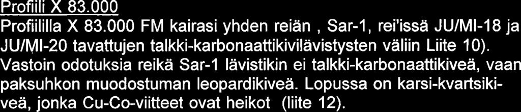 Sen lisaksi on mustaliuskeita ja ymparilla kiilleliuskeita. Uusi kairausvaihe taydensi merkittavasti alueen geologista kuvaa ja tulokset profiileittain ovat seuraavat: Profiili X 82.