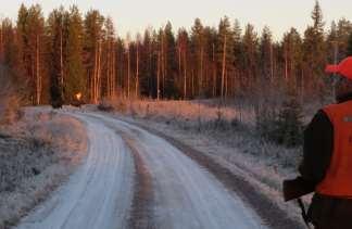 2.3 Tiellä ja tien varrella metsästäminen Yleisellä tiellä eli maantiellä ei saa metsästää. Maantie on tiehallinnon kunnossapitämä tie, joka on merkitty sinisellä tai vihreällä kyltillä.