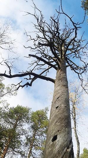 Metsätilan sukupolvenvaihdos- ja veroneuvonta Esko Heikkinen Sukupolvenvaihdokset Kauppakirjat Tilojen jakosopimukset Metsäyhtymien yhtymäsopimukset