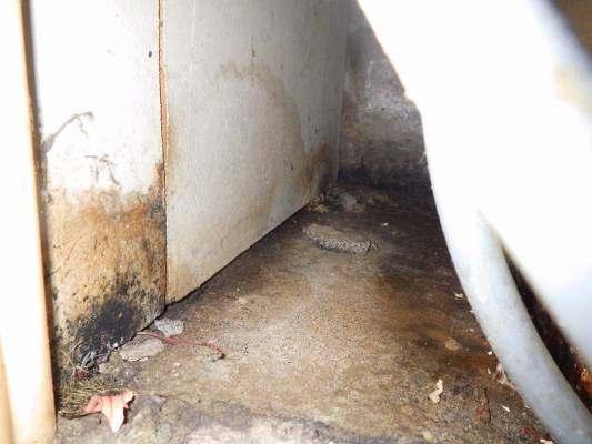 Kosteutta havaittiin lattiapinnalla pesuhuoneen ovelle saakka sekä saunan ja makuuhuoneen puoleisten seinien alaosissa sekä jakotukkien kohdalla.