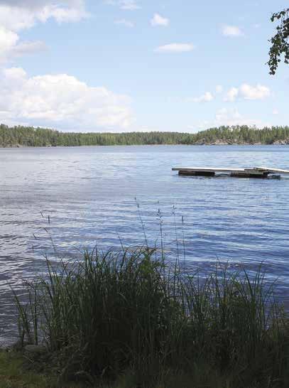 PERÄKUOMU YMYP0001 130,00 58 1 PULPETIN SUOJAHUPPU peittää vain lasin,