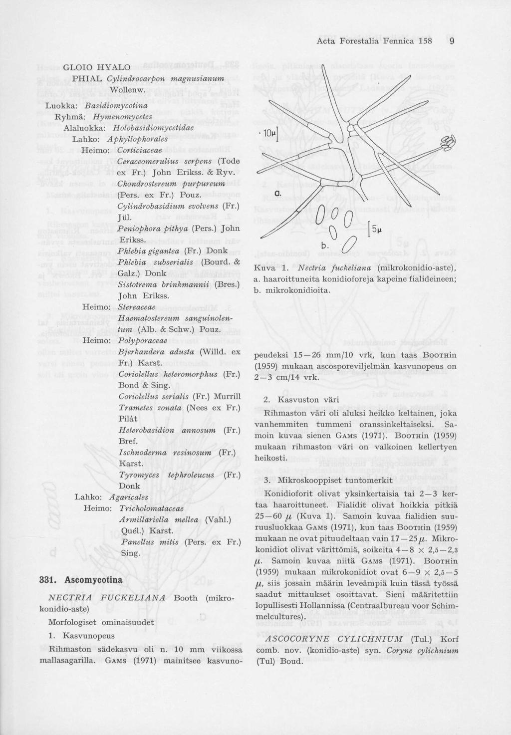 Acta Forestalia Fennica 158 GLOIO HYALO PHIAL Cylindrocarpon magnusianum Wollenw.