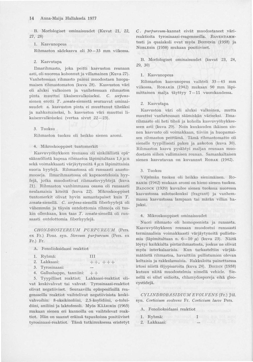 14 Anna-Maija Hallaksela 1977 B. Morfologiset ominaisuudet (Kuvat 21, 22, 27, 28) 1. Kasvunopeus Rihmaston sädckasvu oli 30 35 mm viikossa. 2. Kasvutapa Umarihmasto, joka peitti kasvuston reunaan asti, oli nuorena kohonnut ja villamainen (Kuva 27).