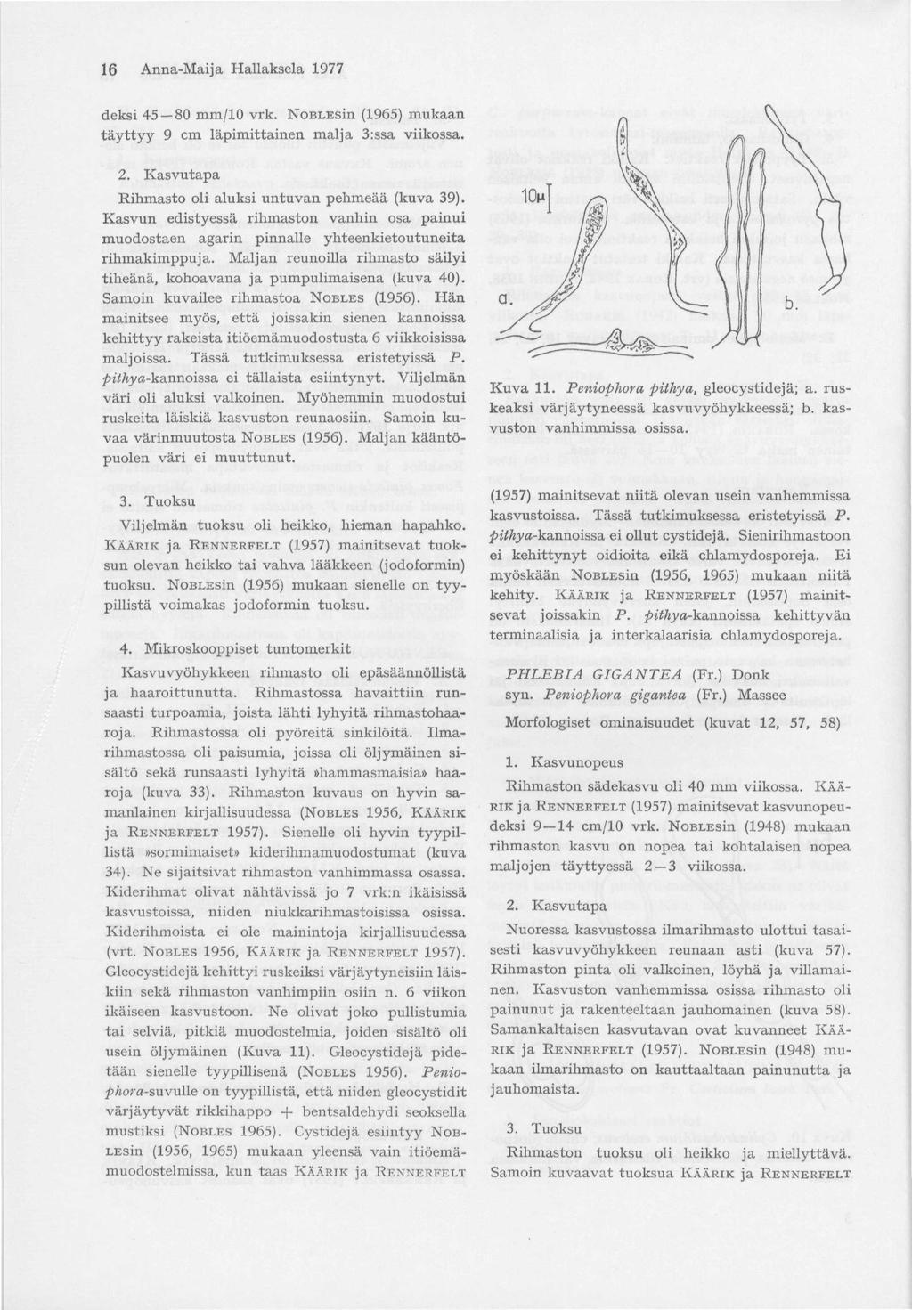 16 Anna-Maija Hallaksela 1977 deksi 45 80 mm/10 vrk. NoBLEsin (1965) mukaan täyttyy 9 cm läpimittainen malja 3:ssa viikossa. 2. Kasvutapa Rihmasto oli aluksi untuvan pehmeää (kuva 39).