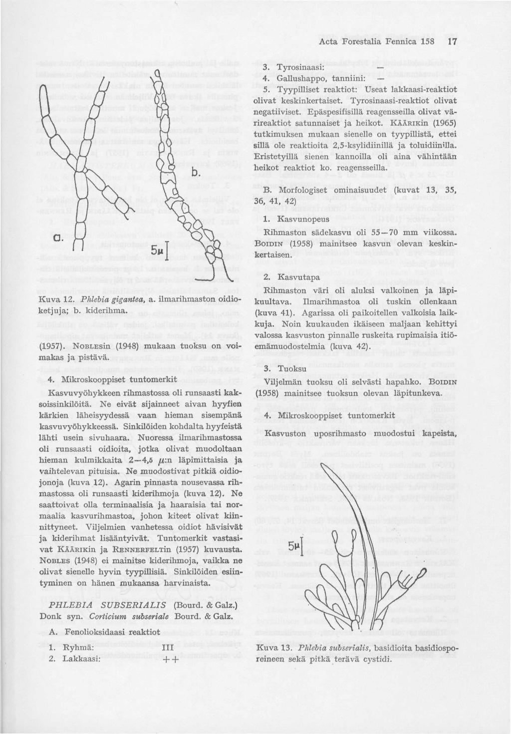 Acta Forestalia Fennica 158 17 3. Tyrosinaasi: 4. Gallushappo, tanniini: 5. Tyypilliset reaktiot: Useat lakkaasi-reaktiot olivat keskinkertaiset. Tyrosinaasi-reaktiot olivat negatiiviset.