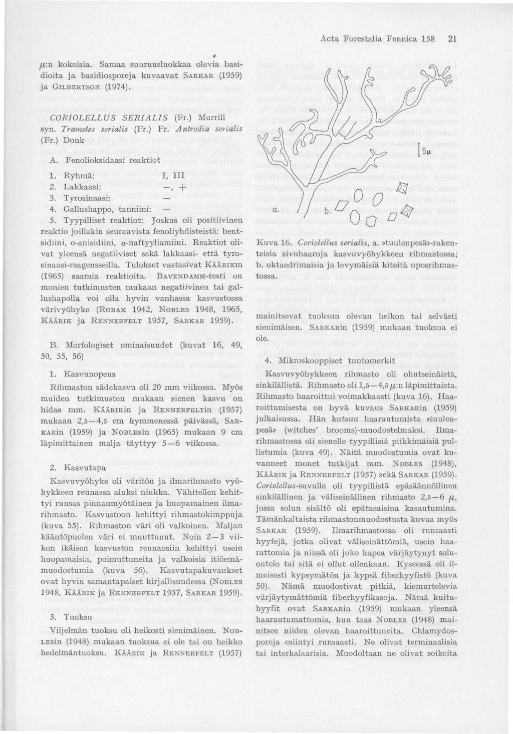 Acta Forestalia Fennica 158 21 /Lt:n kokoisia. Samaa suuruusluokkaa olevia basidioita ja basidiosporeja kuvaavat SARKAR (1959) ja GILBERTSON (1974). CORIOLELLUS SERIALIS (Fr.) Murrill syn.