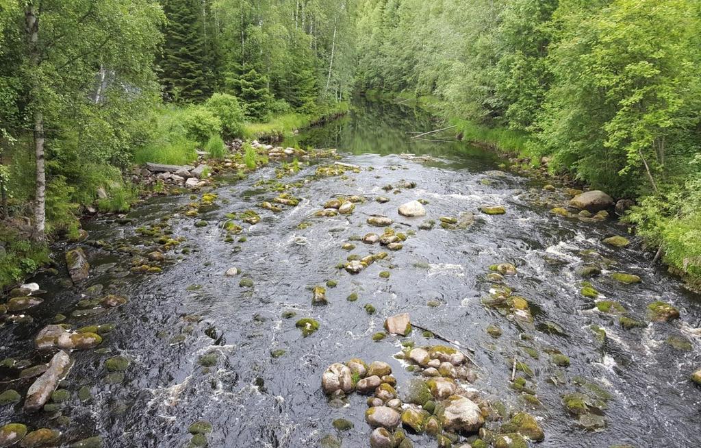 PETÄJÄVESI ERILLISALUEET LUONTO-