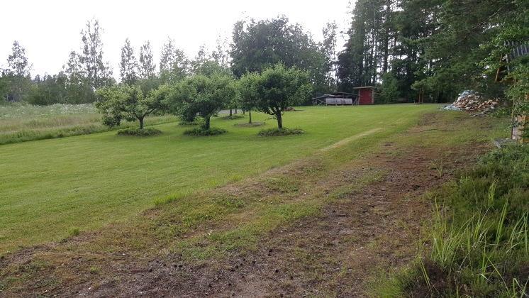 Honkaniemen muutoskohteen 8 länteen