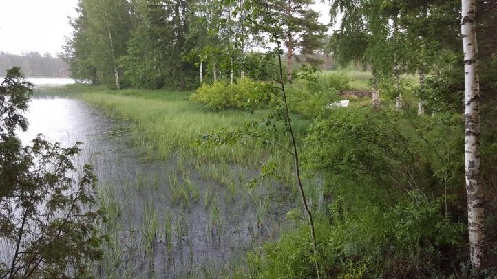 Honkaniemen muutoskohde 11 on