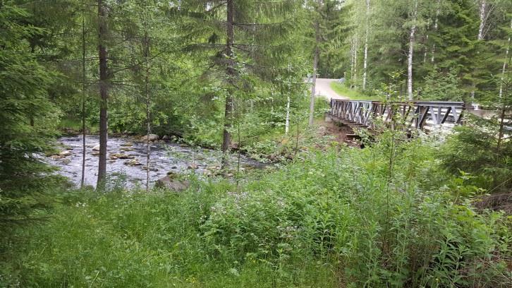 13 Kohde 10, Pengerkoski Pengerkosken muutoskohde sijaitsee kosken länsirannalla, ylävirran puolella sillan juuressa. Alue rajautuu kosken ja paikallistien väliseen rinteeseen (Kuva 26.).