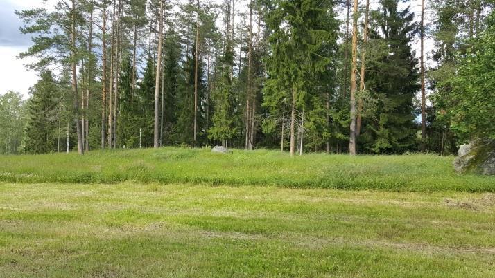 17 Kuva 26. Tolpanniemen muutoskohde rantaan päin kuvattuna.