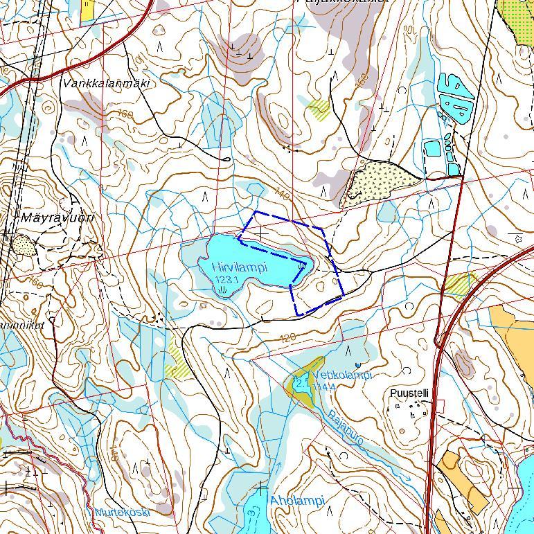 Pohjoisrannan puusto oli paikoin nuorta, ensiharvennusvaiheen taimikkoa.