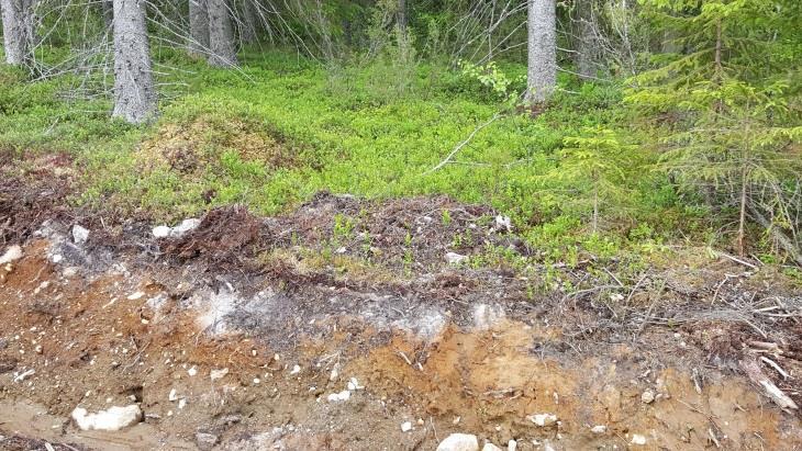 21 Kohde 21 ja 22, Ylä-Kintaus Pohjoisempi osa-alue on kivistä moreenia (Kuva 36.). Kivinen ranta laskee rantaan melko jyrkkänä ja syvenee nopeasti kapean rantaterassin jälkeen.