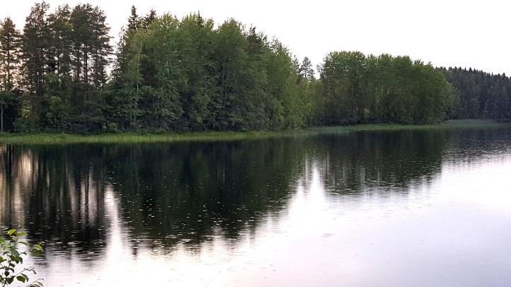 7 Kohde 5 ja 6, Karikkoselkä Karikkoselän länsirannalla, Autionsalmen sillan