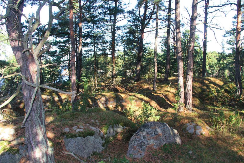 Kohde 123 Stora Gåsskär (322 508-2-4) Rakentamaton saari, jonne on suunniteltu kaksi rakennuspaikkaa.