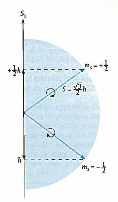 Spinmagneettinen kvanttiluku m s kuvaa spinin tilakvantittumista.