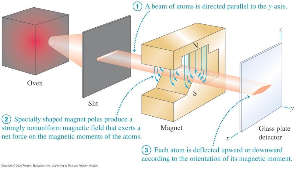 Stern-Gerlachin koe todistaa spinin olemassa olon. Stern-Gerlachin kokeessa ammutaan neutraaleja hopea-atomeja epäsymmetrisen magneettikentän läpi.