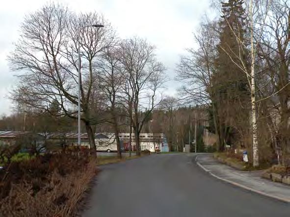 Kasvillisuuden osalta säilytettäviä elementtejä ovat jokirannassa kasvavat maisemallisesti arvokkaat suuret puut, mm.