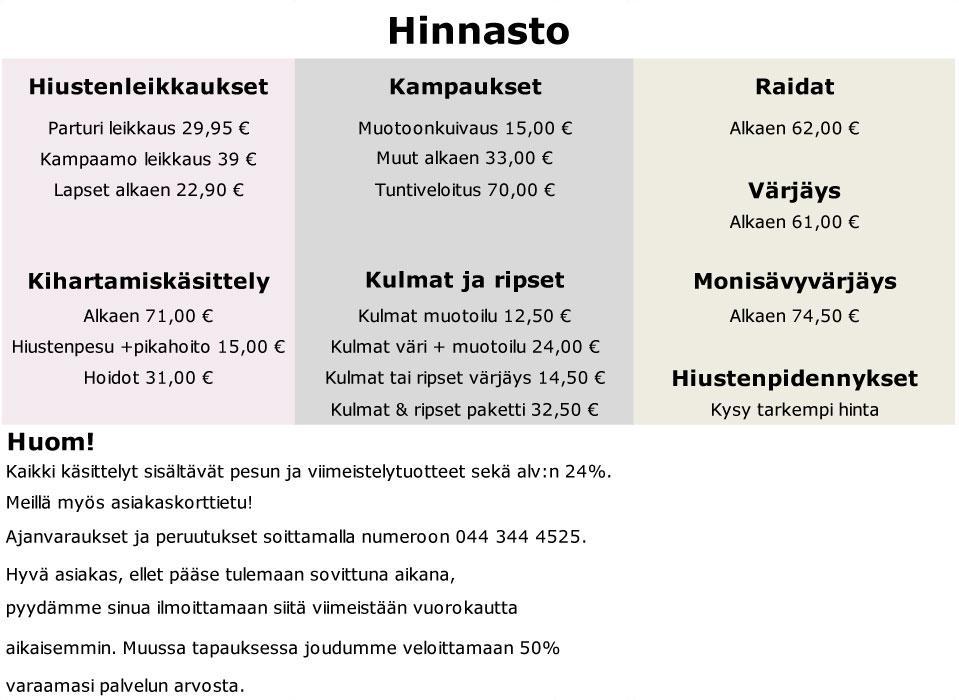 6 1.3 Grafiikka Hinnaston tein ensin Excelillä ja kopioin Illustratorille, josta