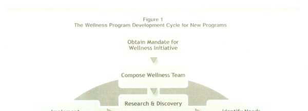 Hyvinvointisuunnittelun prosessi Planning Worksite Health Promotion Programs: Models, Methods and Design Implications Suunnitelman toteuttaminen Suunnitelman