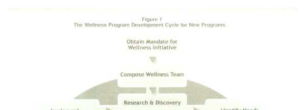 Hyvinvointisuunnittelun prosessi Planning Worksite Health Promotion Programs: Models, Methods and Design Implications Suunnitelman toteuttaminen Suunnitelman