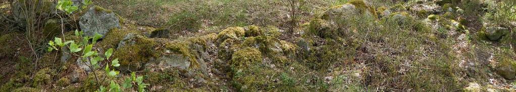 Sen itäreunan päällä oli kuitenkin risuja ja oksia, jotka lienevät peräisin viereisen metsäalueen raivauksesta. Kohteelle palattiin vielä 11.7.