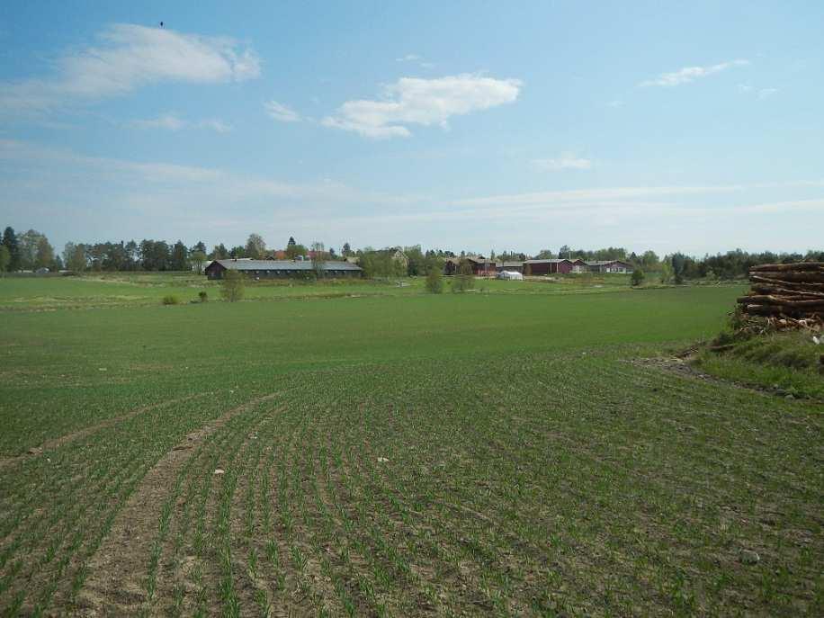 Kangasalan kunta, Pakkalan kyläyleiskaava, kaavaehdotus 04.06.2015, kaavaselostus Liite 4: Arkeologiset kohteet Kulttuuriympäristöpalvelut Heiskanen & Luoto Oy Arkeologinen inventointi Kangasala 23.7.