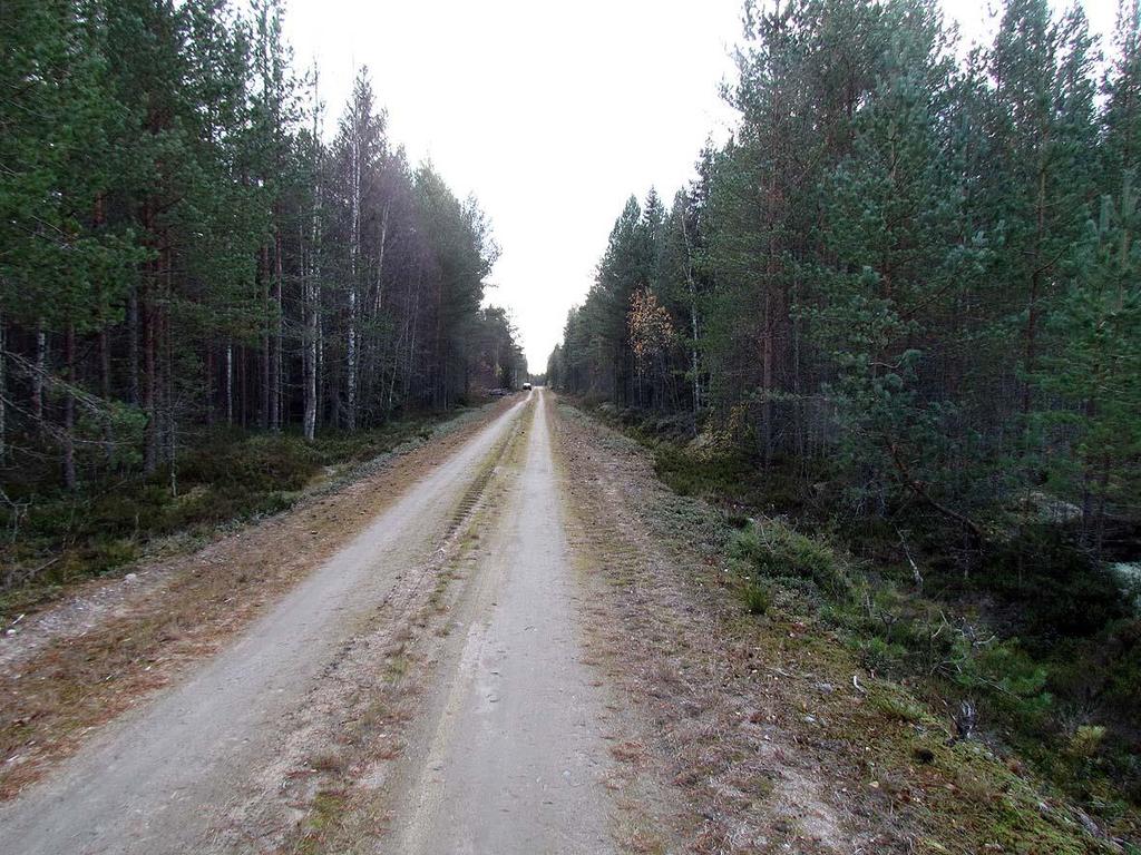 Etualalla todennäköisesti nuoremman maankäytön tuloksena syntynyt kuoppa, joka ei liity