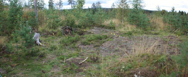 Lähes kaii kaivettu maa seulottiin 4 mm seulalla ja löydöt pyrittiin mittaamaan löytöpaikoilleen mahdollisimman tarkasti. Hyvin vähälöytöiset kohdat jätettiin seulomatta (esim.